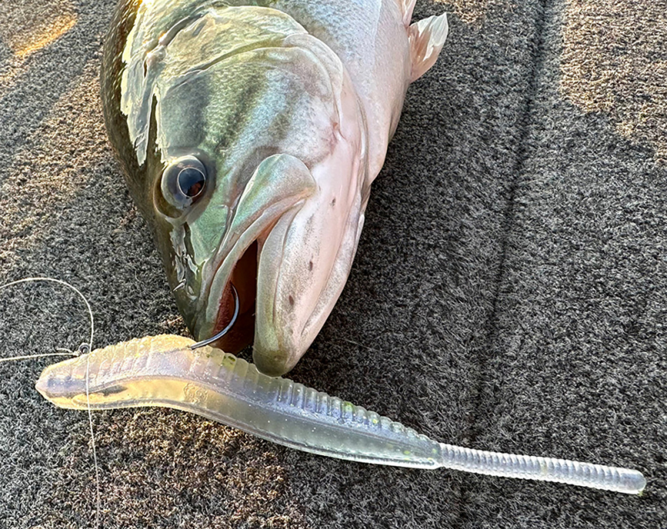 Bite Of Bleak TNY Hover 11cm